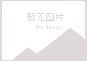 铁岭清河雪青能源有限公司